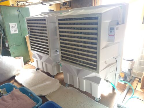 {{brizy_dc_image_alt entityId=